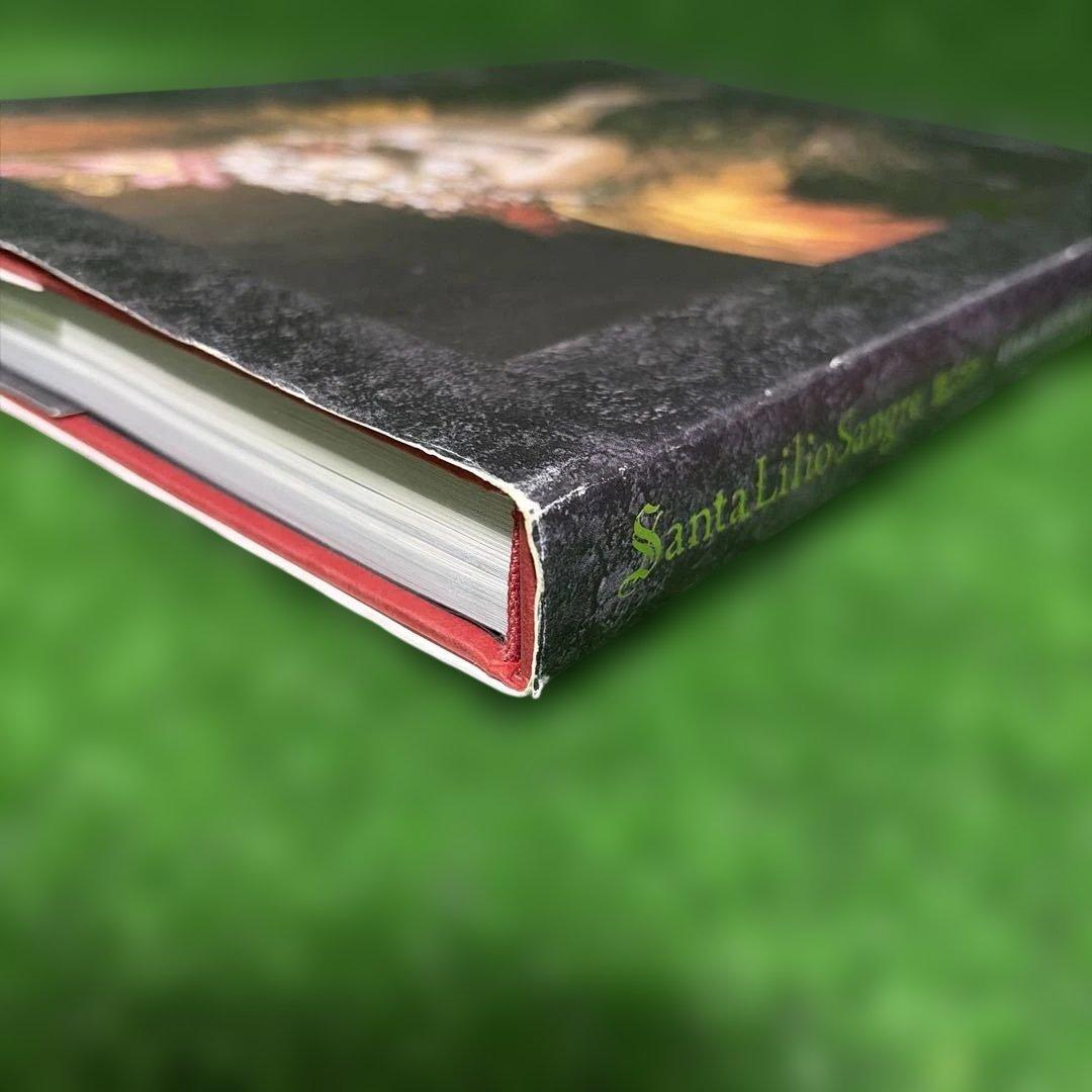 【希少】小島文美画集　緋いユリ　Santa Lilio Sangre