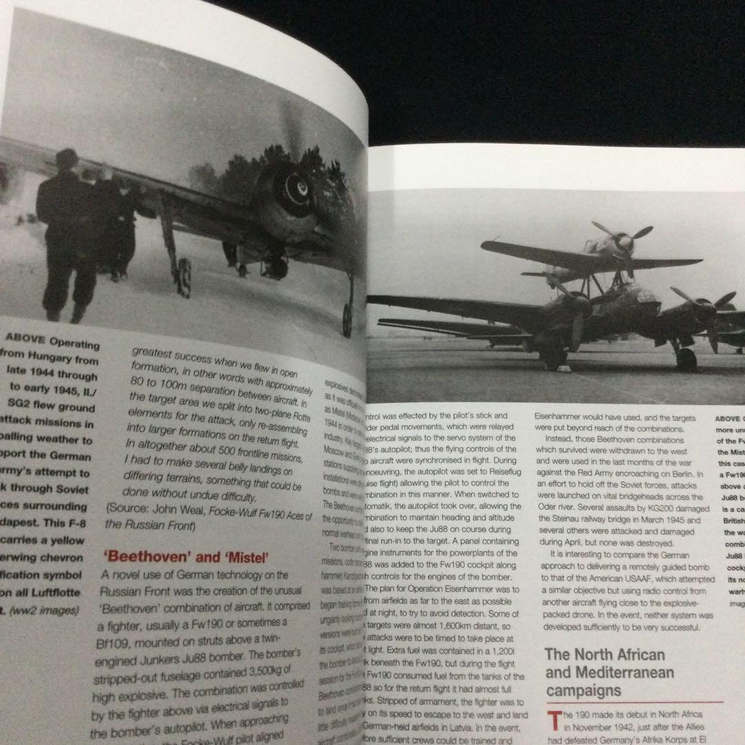 Haynes フォッケウルフ　Fw190 ドイツ軍　戦闘機　飛行機 ヘインズ