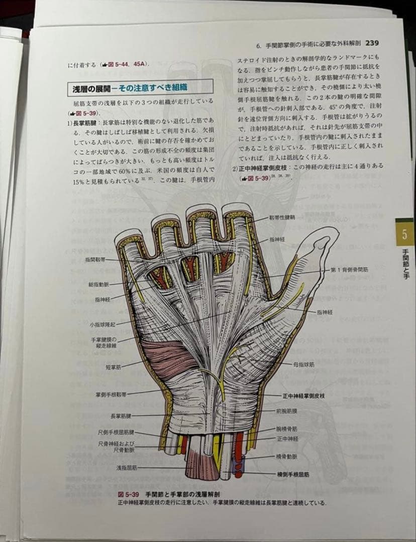 【裁断済】整形外科医のための手術解剖学図説(原書第6版)