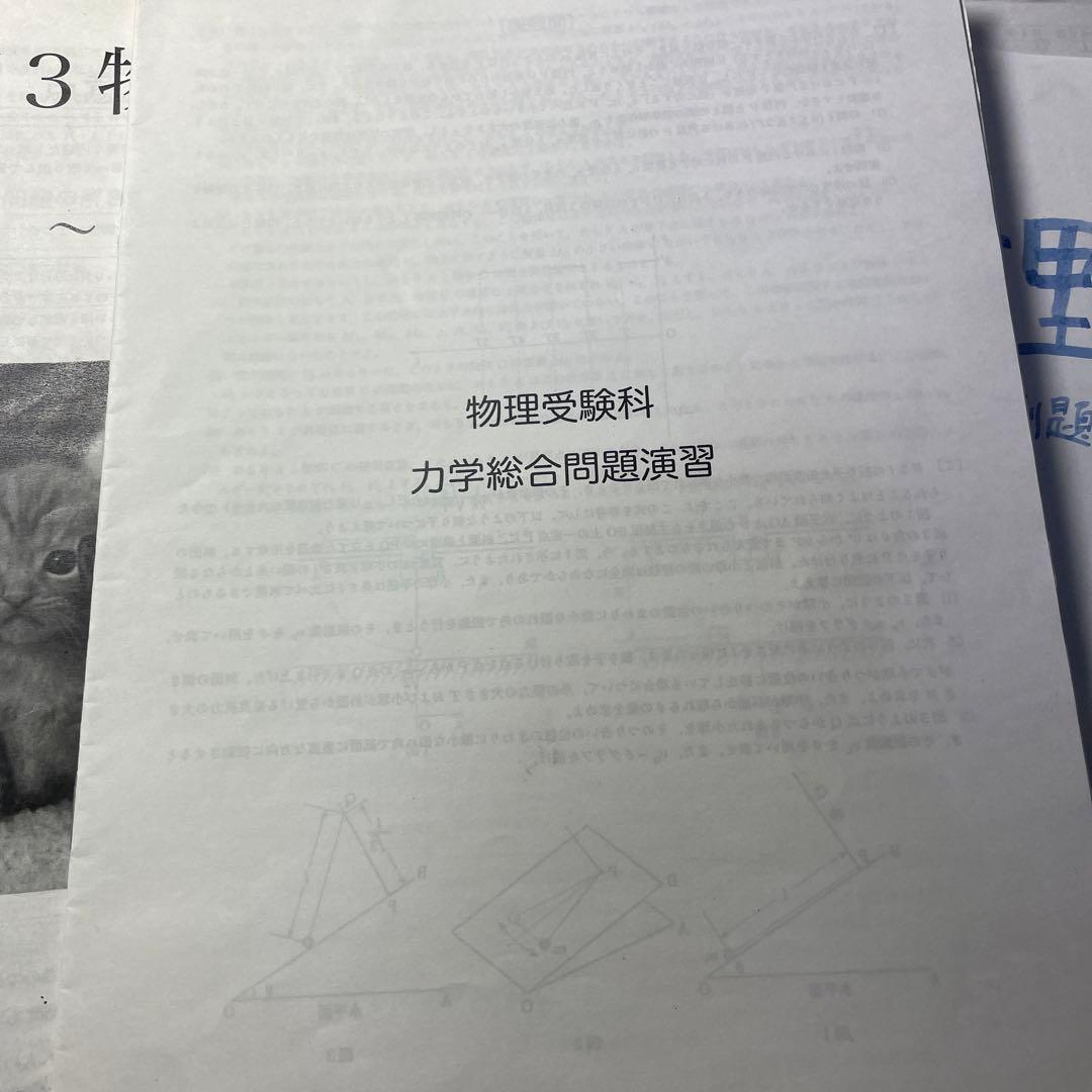 鉄緑会　高3物理一年分！　物理受験科テスト23回分＋発展例題46問セット