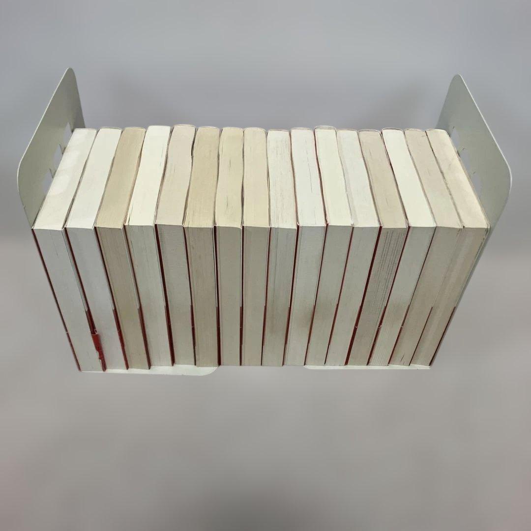 天は赤い河のほとり　文庫版　全巻セット