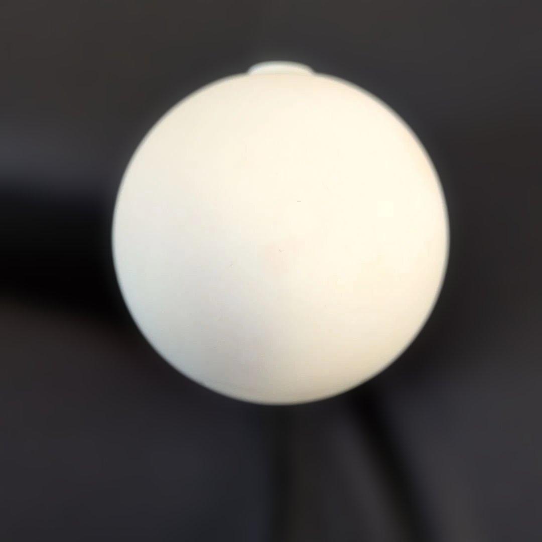 ポケットモンスター Let's Go! イーブイ