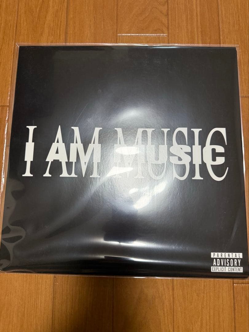 Playboi Carti MUSIC レコード盤　黒