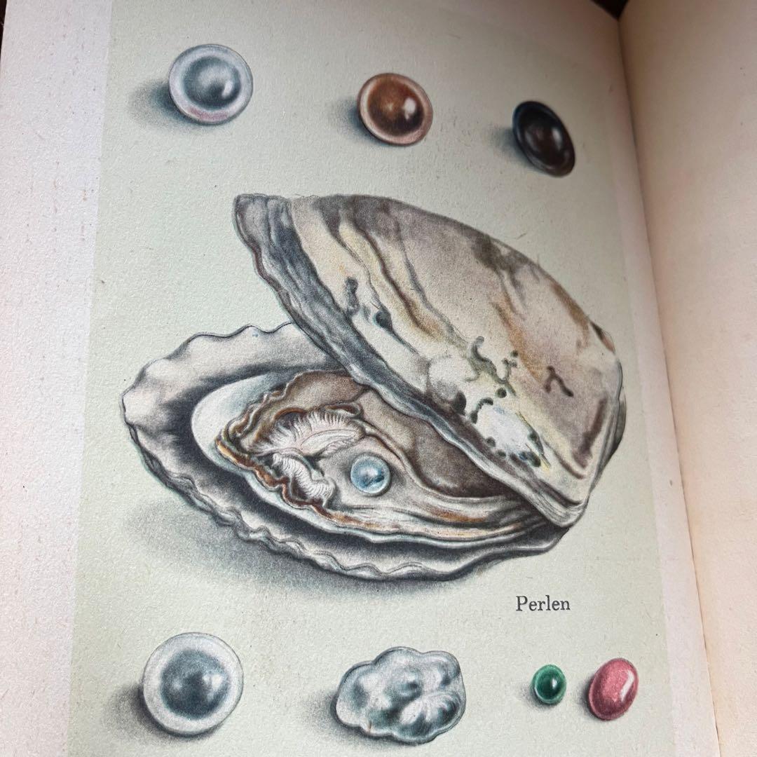 インゼル文庫 No.54 小さな鉱物の本　ヴィンテージ