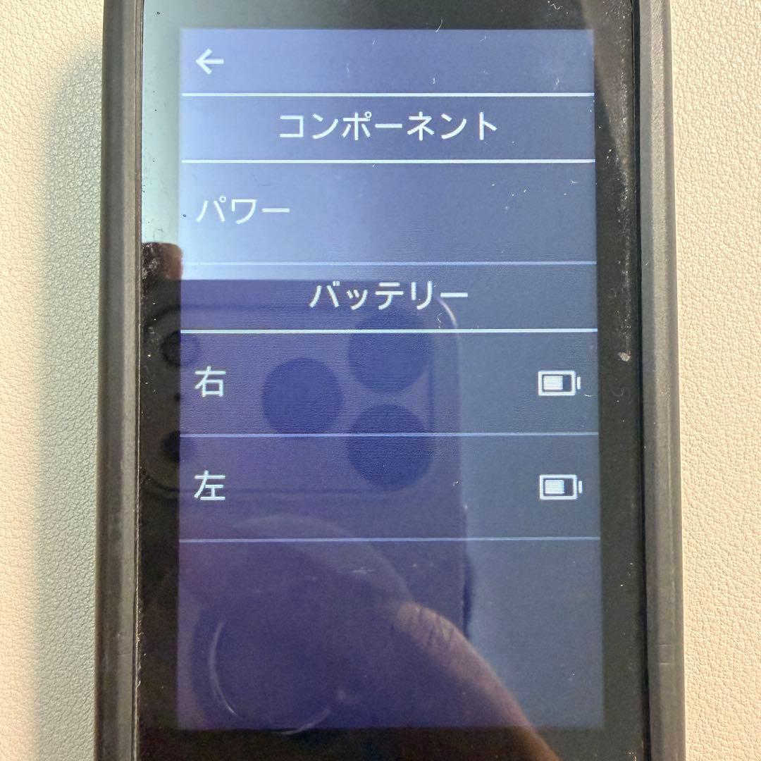 GARMIN RALLY RS200 デュアルセンサー