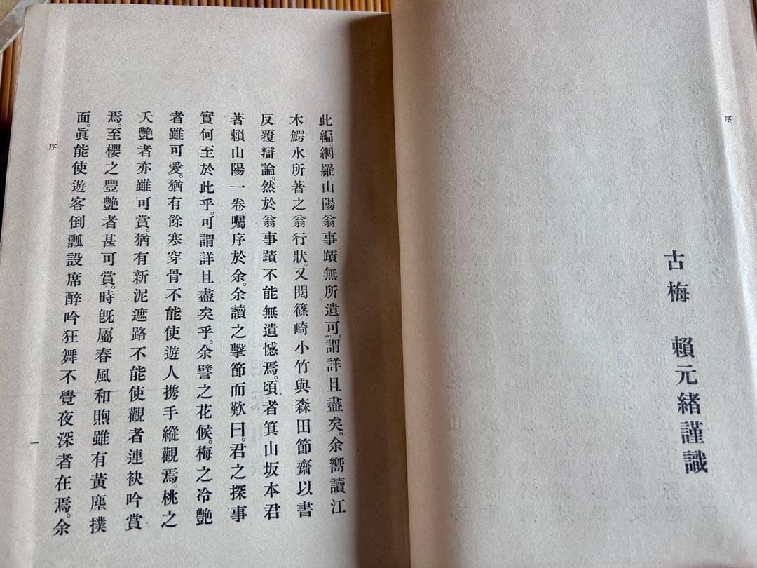 頼山陽 坂本辰之助 著 敬文館 大正2年4月15日