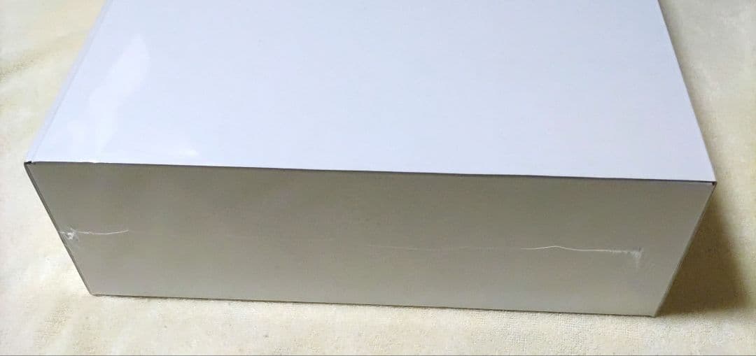 【未開封】【switch】ライザのアトリエ DX スペシャルコレクションボックス