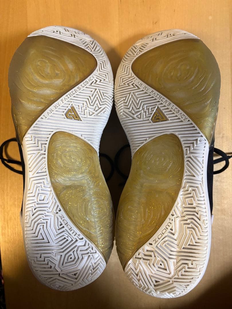 ア*8様 NIKE ズームフリーク1 バッシュ 28.5cm 1年使用