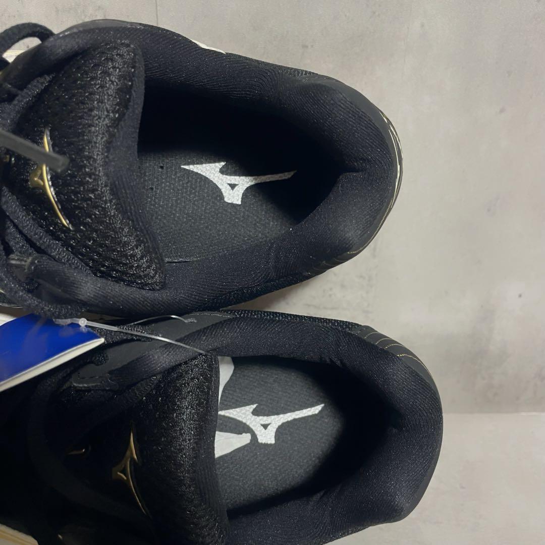 新品タグ付　ミズノ バドミントンシューズ メンズ ウエーブファング スニーカー