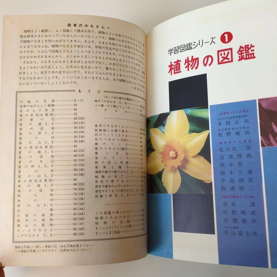 極レア 小学館 学習図鑑シリーズ 全巻揃い 昭和40年代 当時物 レトロ 現状品