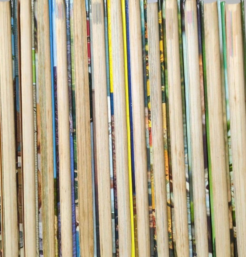 極レア 小学館 学習図鑑シリーズ 全巻揃い 昭和40年代 当時物 レトロ 現状品