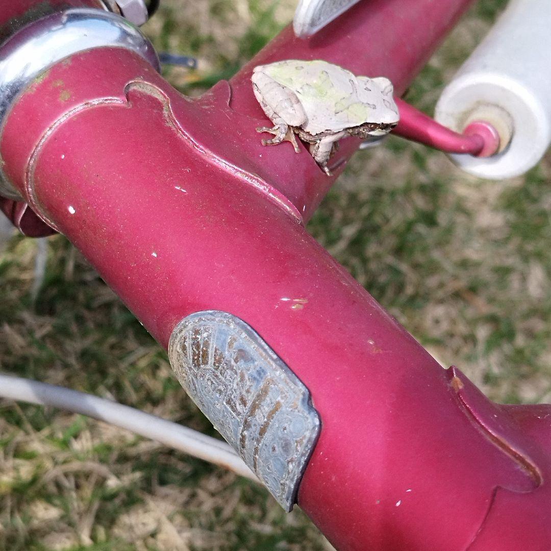 極希少トモダ ヤジロベー18-8 ＆ CS臨時増刊2冊 アトランティス日本一周品