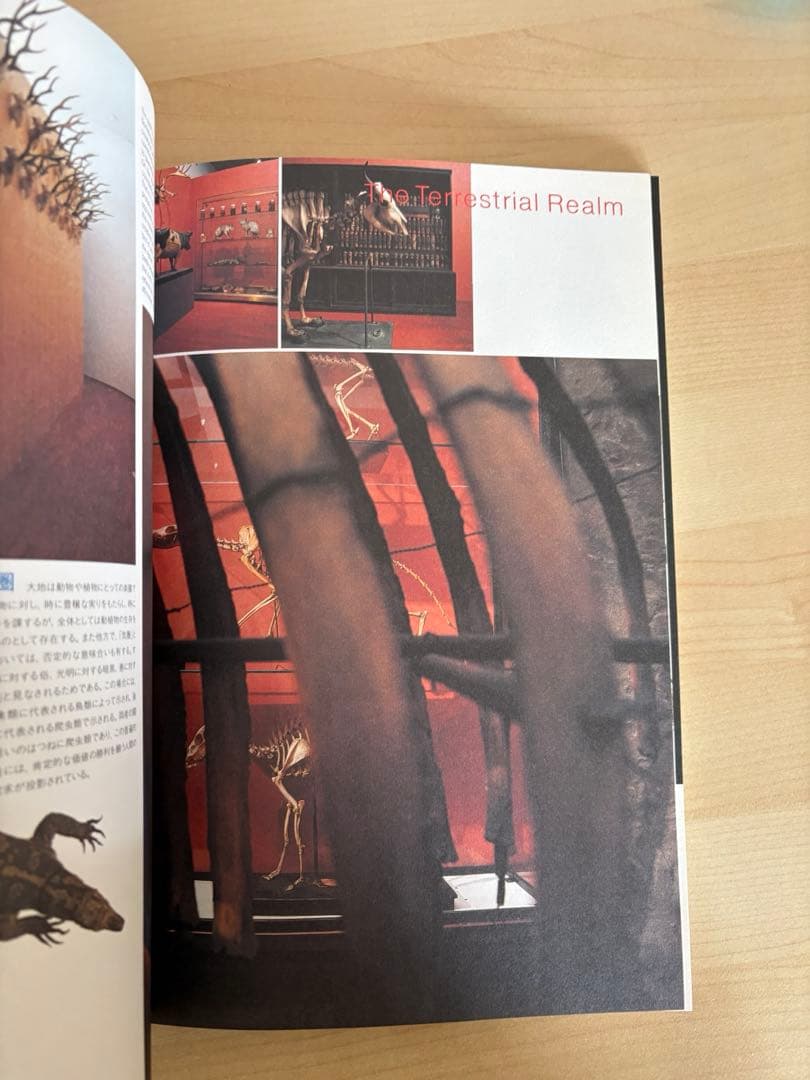 マーク・ダイオン 驚異の部屋　ミクロコスモグラフィア　1100部限定