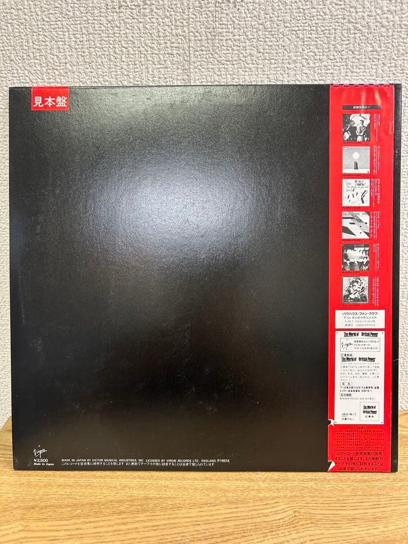 V*s様 バウハウス　The Sky's Gone Out 見本版　B14