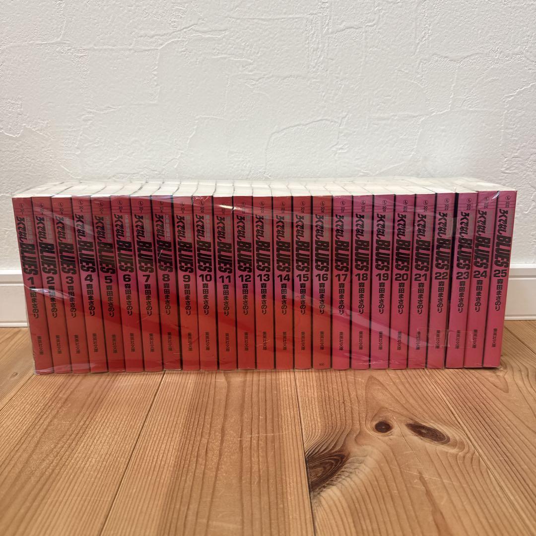 ろくでなしブルース　全巻 セット 全25巻　文庫版 森田まさのり アニメ原作