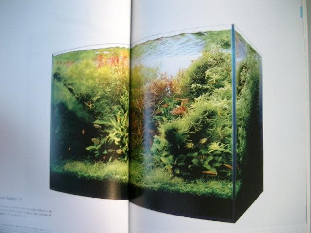 ADA - アクアデザインアマノ　　関連本・非売品含む