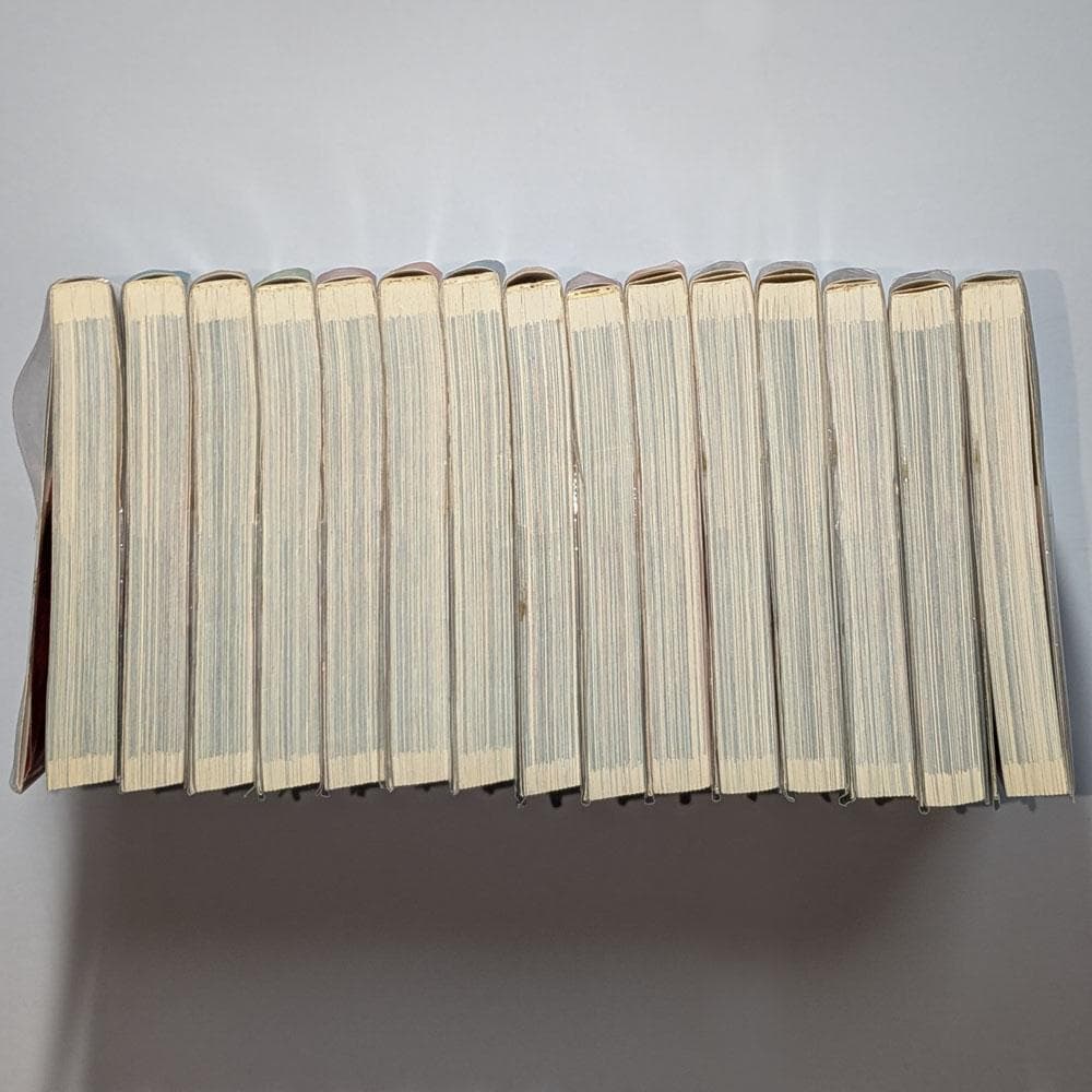 犬夜叉 テレビアニメ版 全30巻 (コミック/漫画) セット 全巻