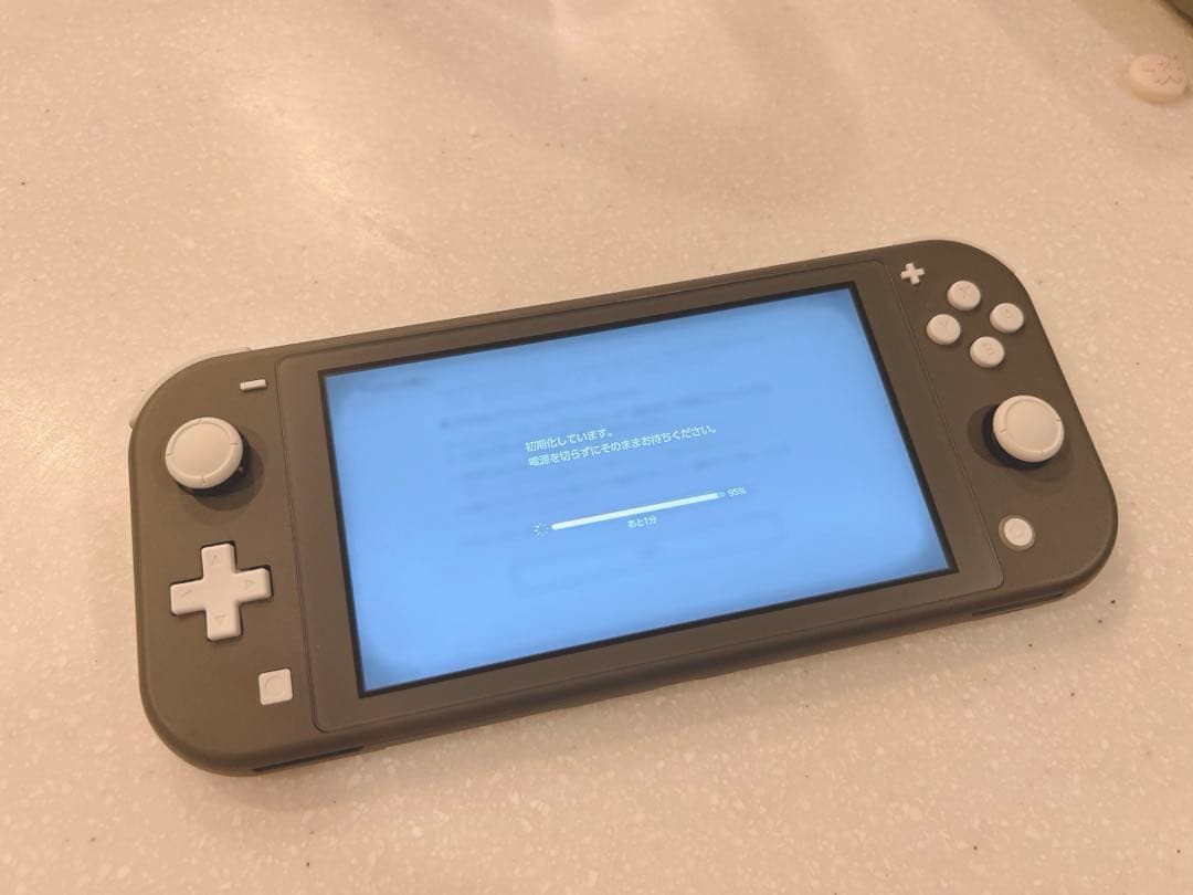 Nintendo Switch Lite グレー　あつまれどうぶつの森