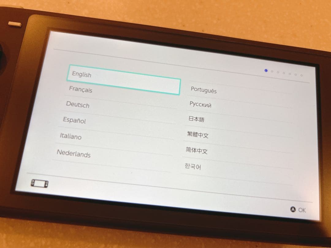 Nintendo Switch Lite グレー　あつまれどうぶつの森