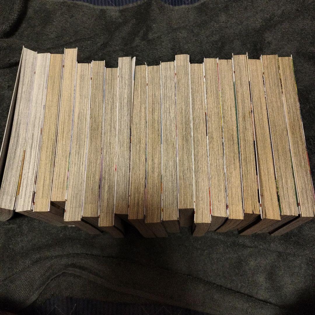 29歳独身中堅冒険者の日常１巻〜19巻セット　初版本　全巻セット　奈良一平