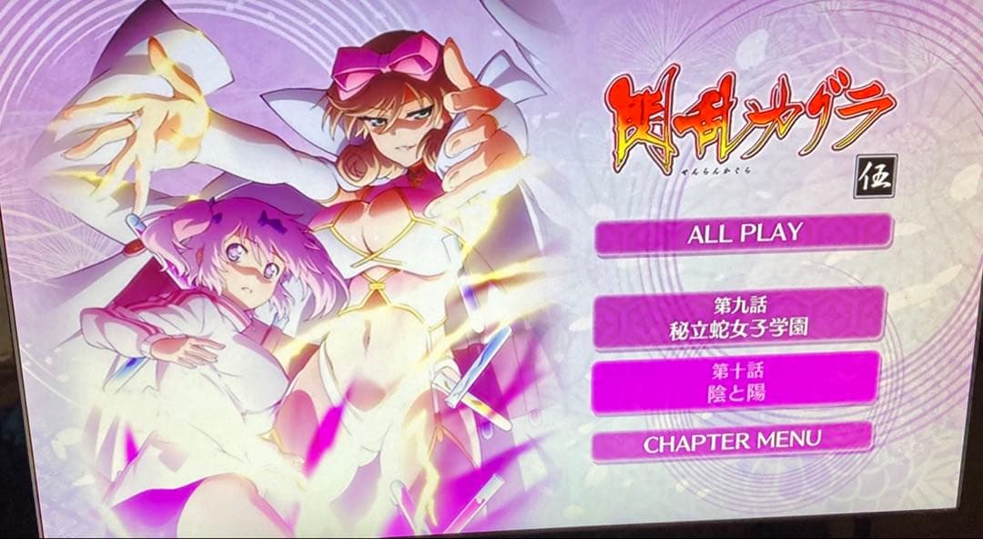 閃乱カグラ　DVD