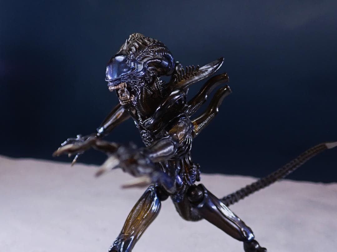 中古 リボルテック　エイリアンクィーン&ウォーリアー