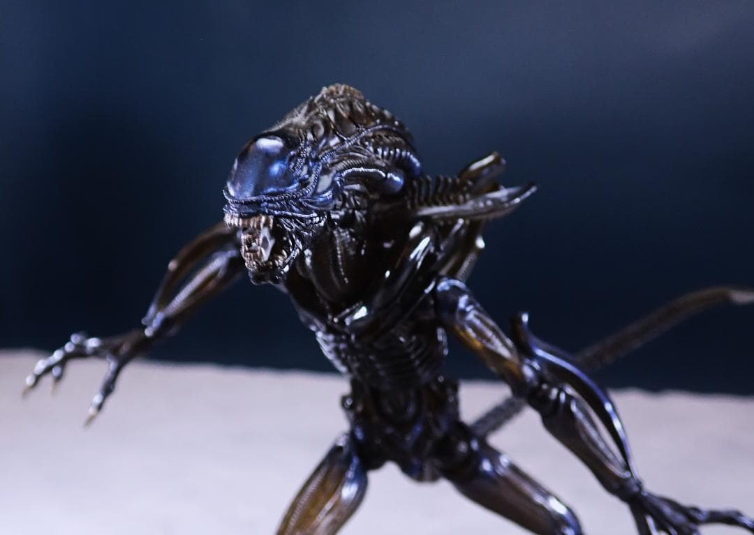 中古 リボルテック　エイリアンクィーン&ウォーリアー