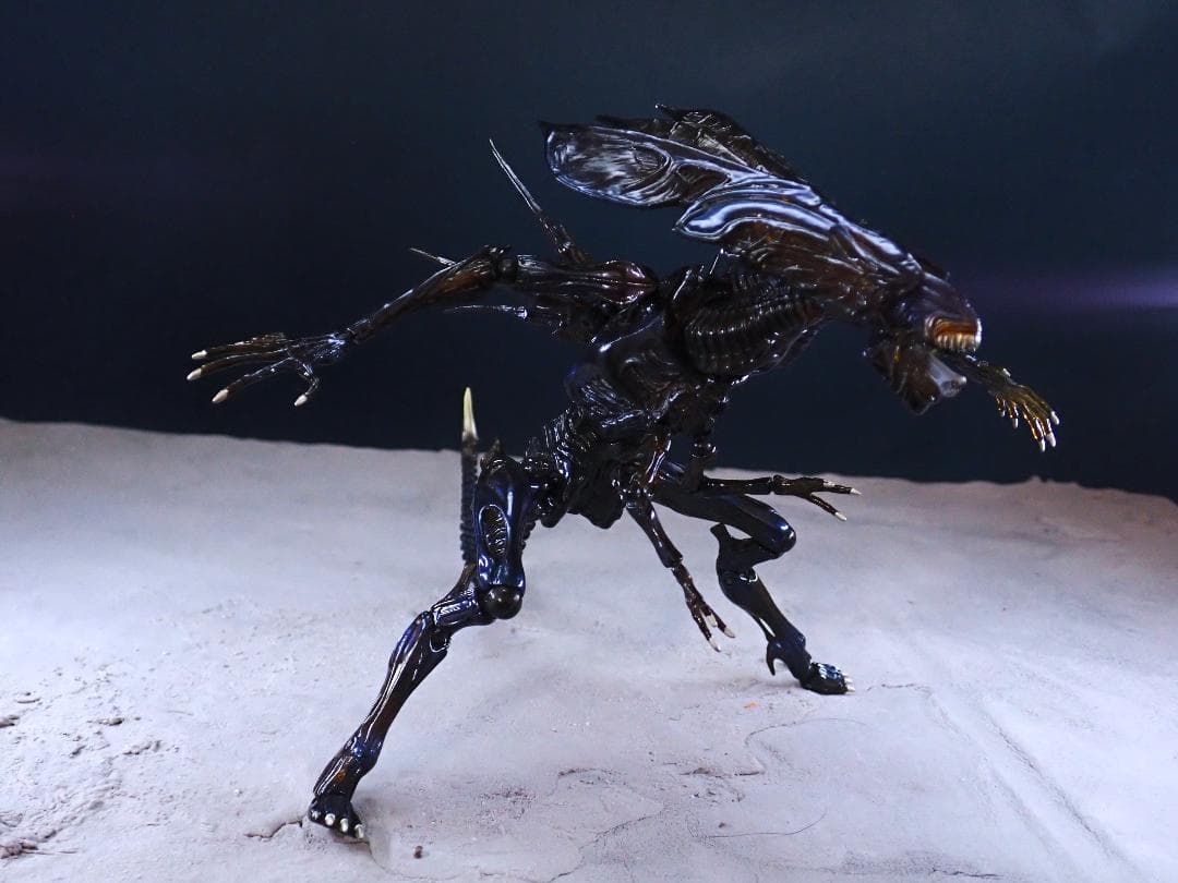 中古 リボルテック　エイリアンクィーン&ウォーリアー