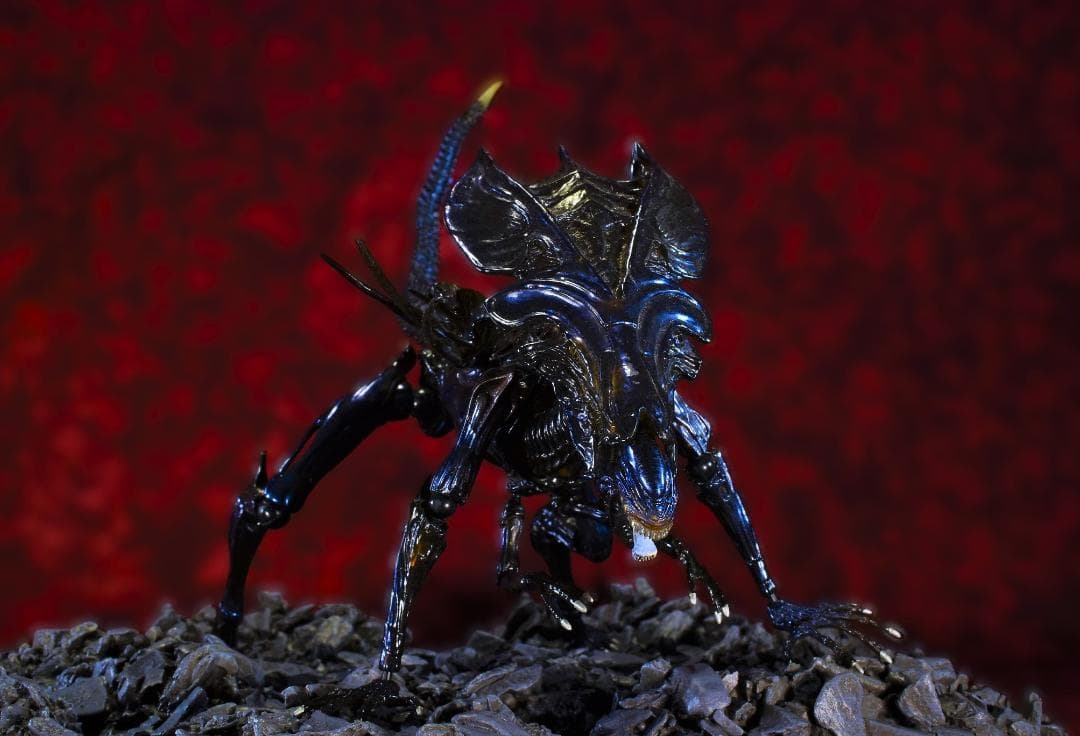 中古 リボルテック　エイリアンクィーン&ウォーリアー