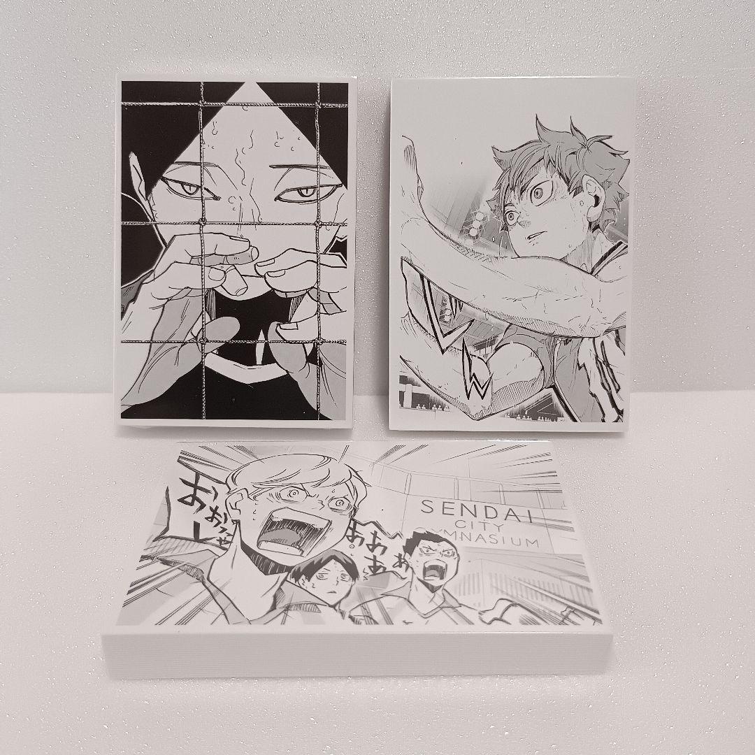 【付録完備】 ハイキュー!! 10th クロニクル グッズ付 同梱版 古舘春一