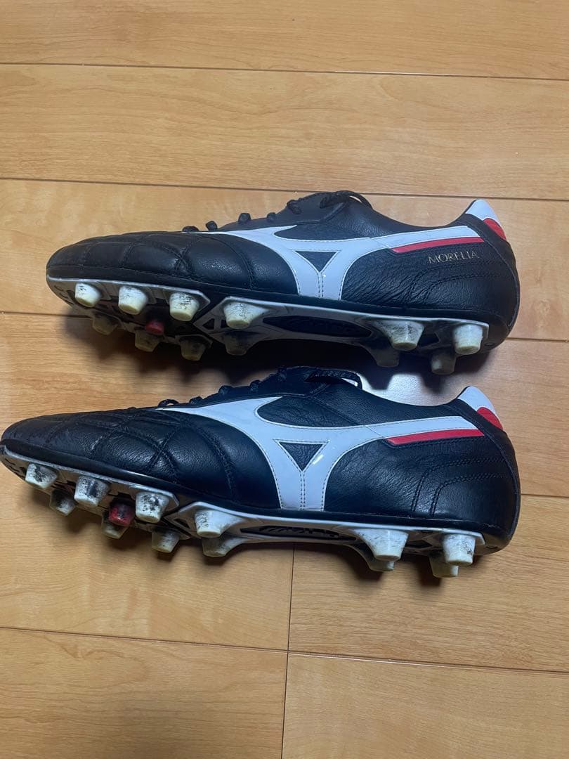 モレリア2 Japan クロスステッチ 限定　28cm