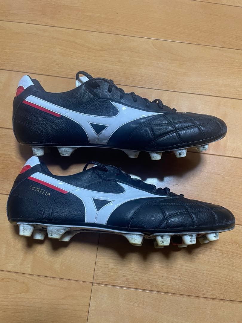 モレリア2 Japan クロスステッチ 限定　28cm