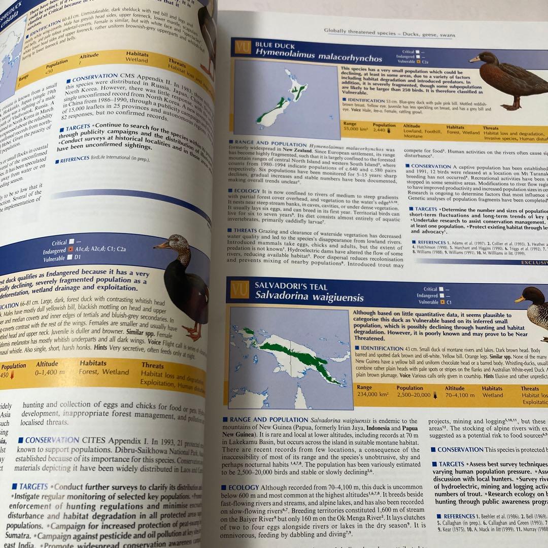 Threatened Birds of the World (絶滅危惧種鳥類)