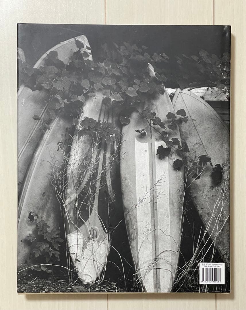 アート・デザイン・音楽 THE END: MONTAUK, N.Y. by MICHAEL DWECK