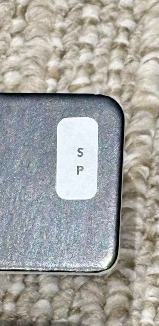 ARC’TERYX サイズ: S｜セイバー インデックス ミット