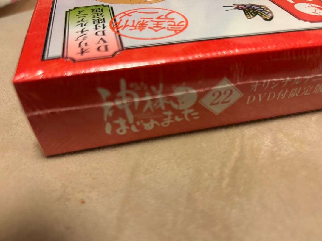 神様はじめました オリジナルアニメDVD付限定版 22