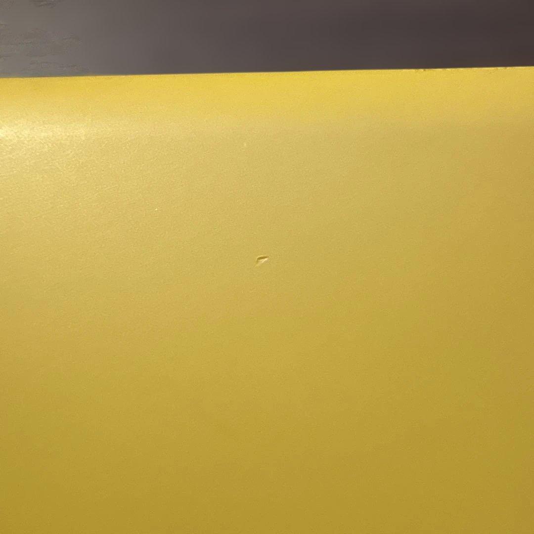 Nintendo switch Lite + ケース付