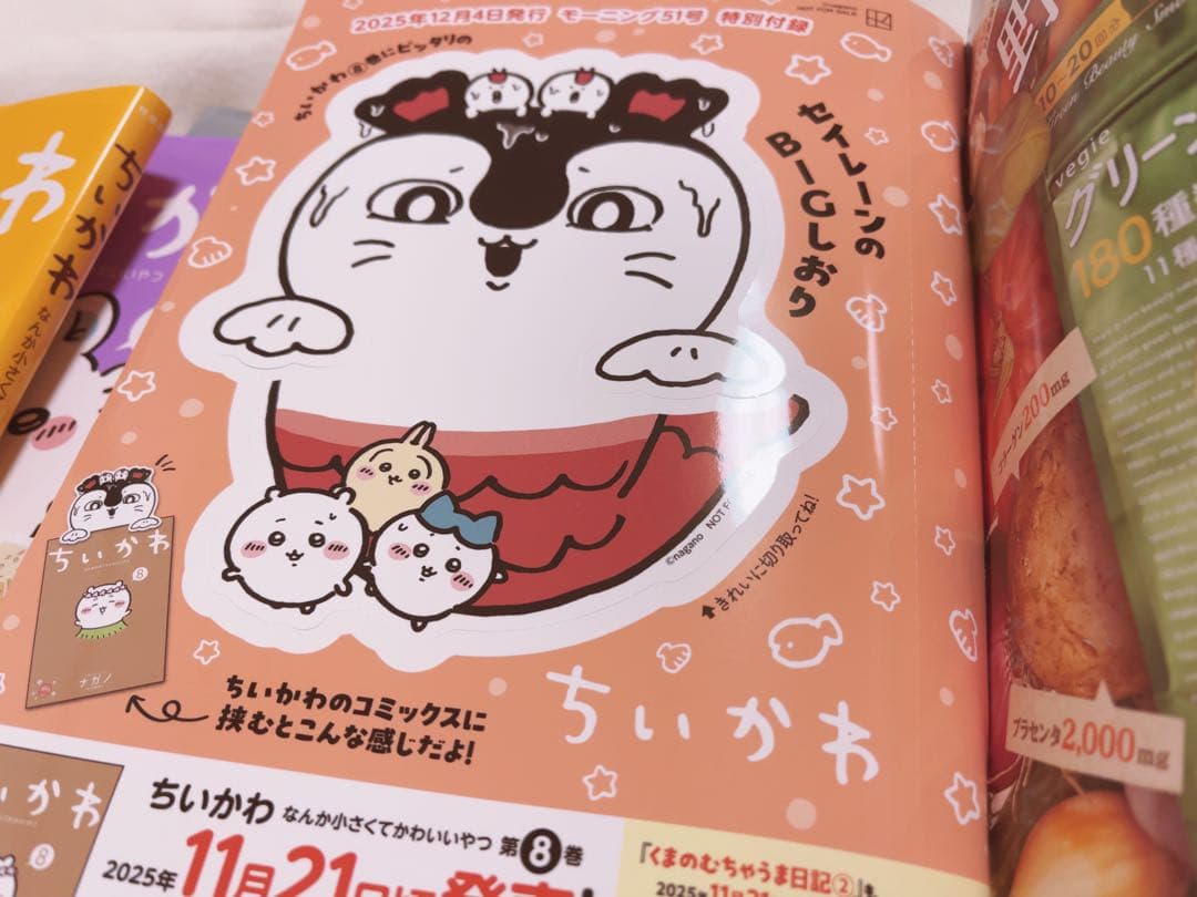 ちいかわ 全巻セット　特装版　モーニング付き　帯あり