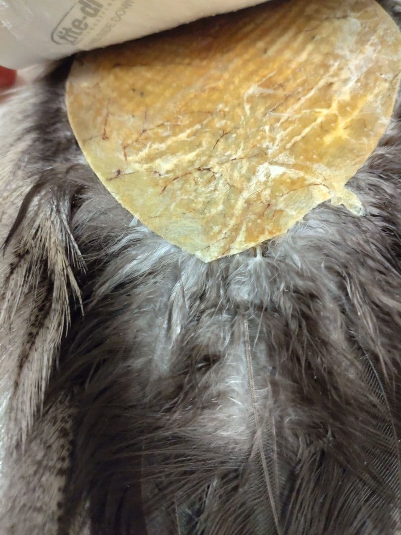 Whiting コックデレオン クリームバジャー 　ホワイティング　ハックル