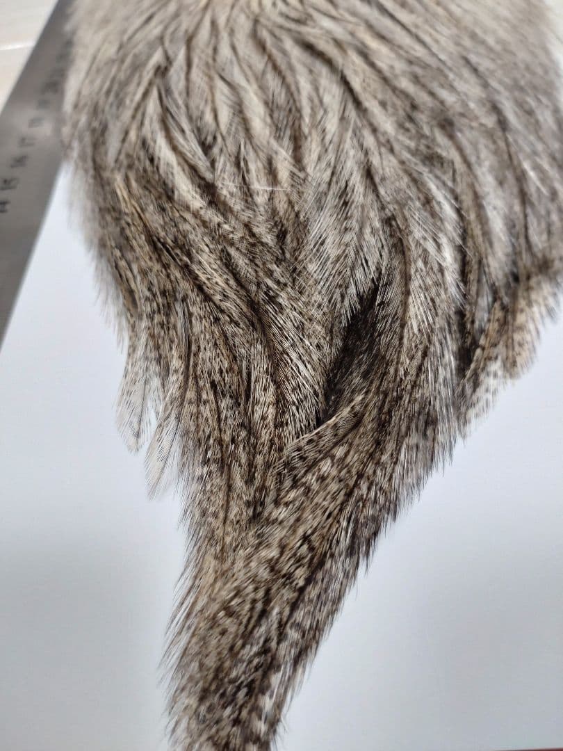 Whiting コックデレオン クリームバジャー 　ホワイティング　ハックル