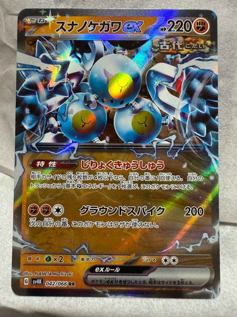 た*ぅ様 PokemonLEGENDS ZA NintendoSwitch2 E