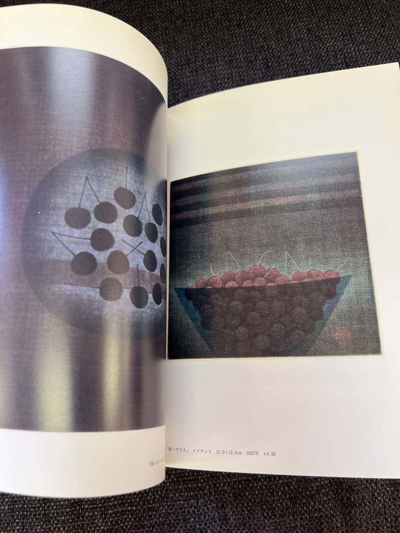 版画藝術 1984年春号 No45 ダニエル・スキオラ 特集版画誌 アート雑誌