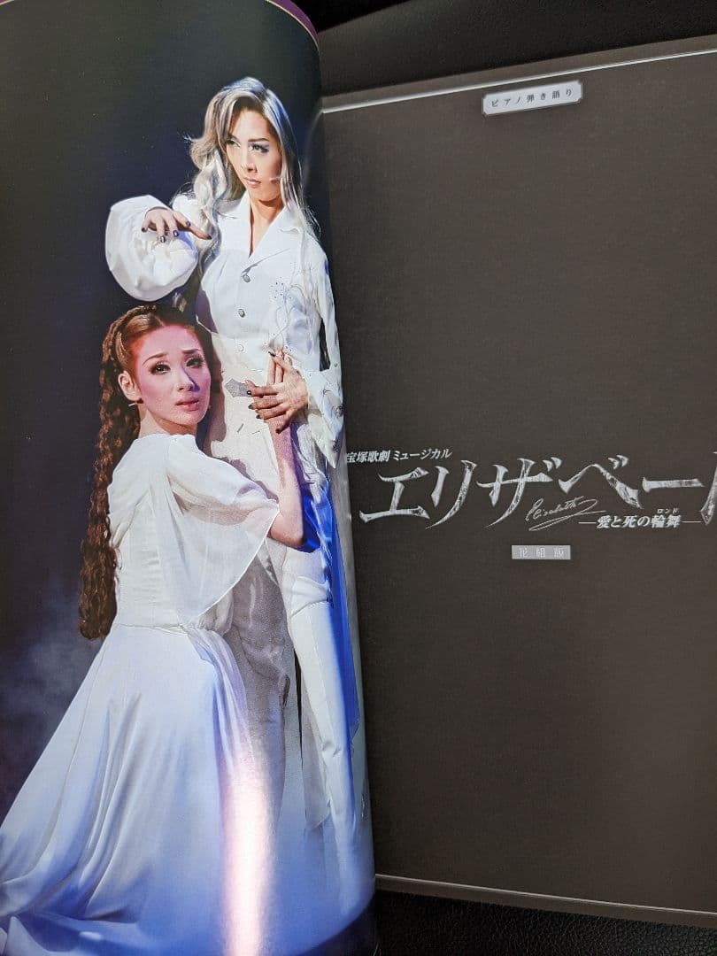 宝塚歌劇ミュージカル　エリザベート-愛と死の輪舞(ロンド)- : 花組版