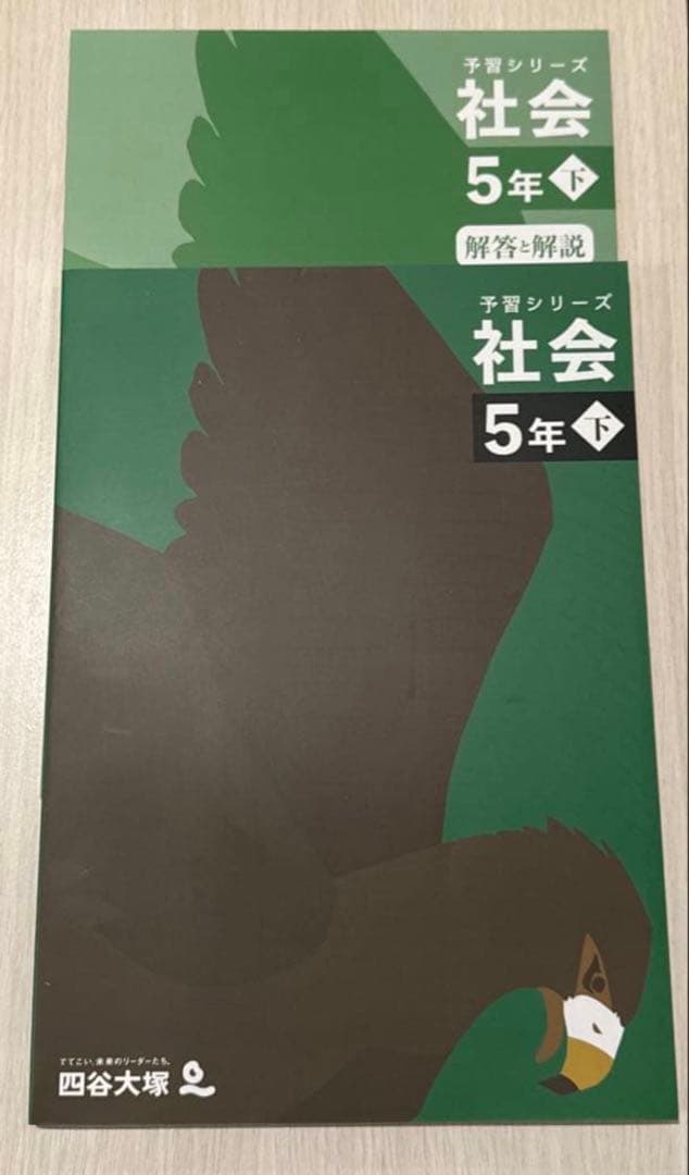 きゅーちゃんさん専用　改訂版 予習シリーズ 理社 5年 上下セット(解説付)