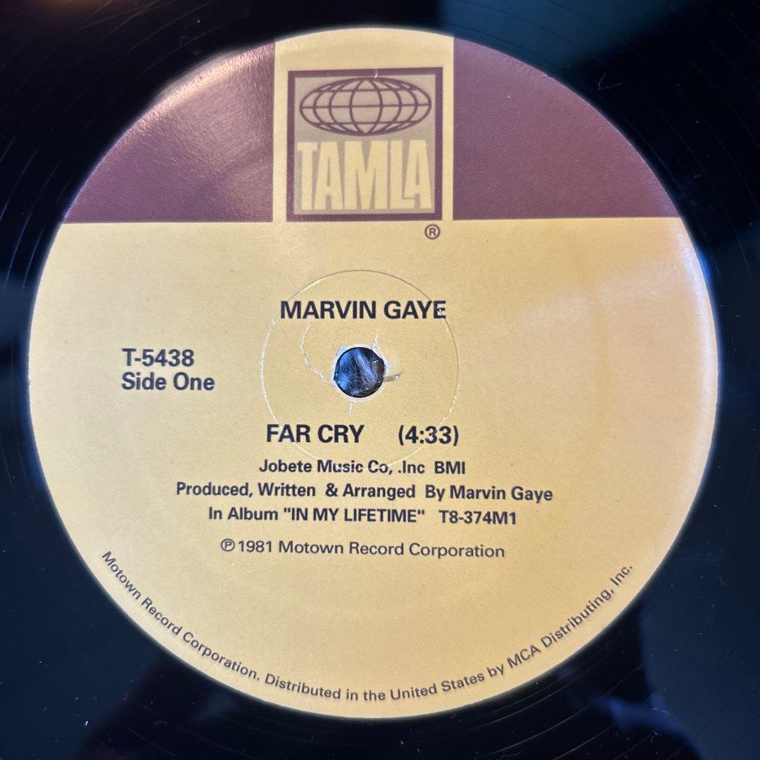 洋楽 Marvin Gaye Far Cry/Heavy Love Affair
