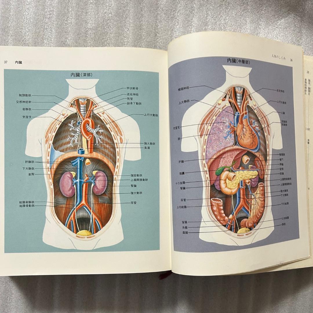 超希少初版❣️最新家庭の医学百科　1142ｐ