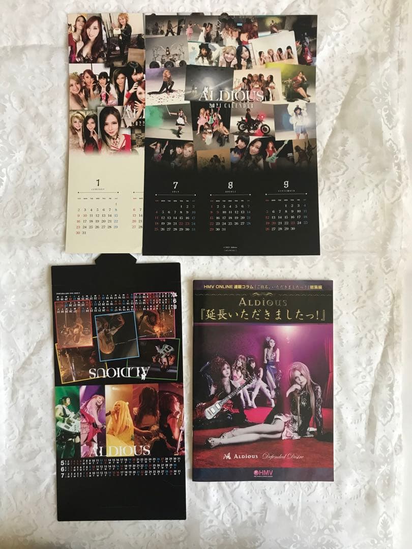 ALDIOUS パンフレットetcセット