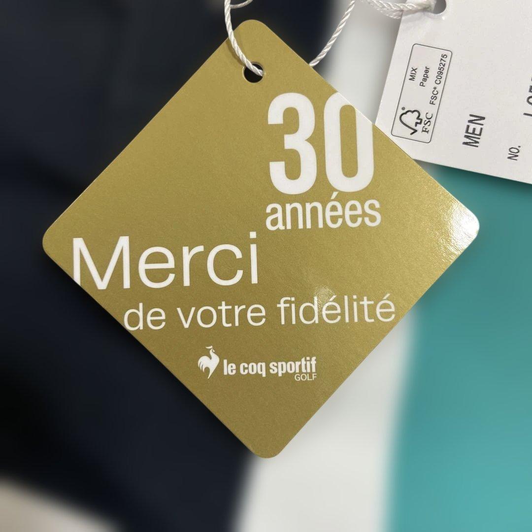 ECOO SPORTIF メンズパネルデザイン ポロシャツＬ