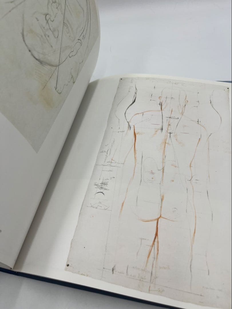 Antonio López García: Drawings ハードカバー