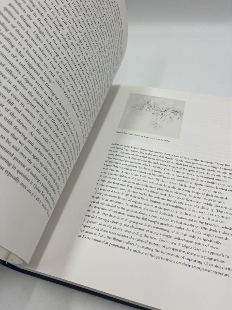 Antonio López García: Drawings ハードカバー